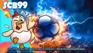 เกมกีฬาออนไลน์ ฝากถอนไม่มีขั้นต่ำ อัตราต่อรองยุติธรรม