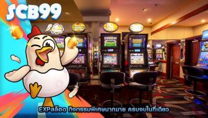 expสล็อต กิจกรรมพิเศษมากมาย ครบจบในที่เดียว