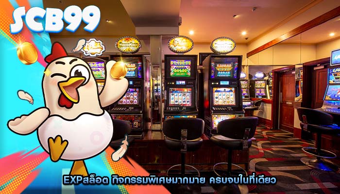 expสล็อต กิจกรรมพิเศษมากมาย ครบจบในที่เดียว