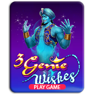 3 Genie Wishes