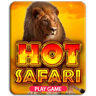 Hot Safari