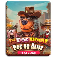 The Dog House - Dog or Alive