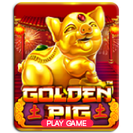 Golden Pig