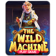 The Wild Machine