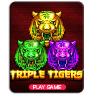 Triple Tigers