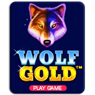 Wolf Gold